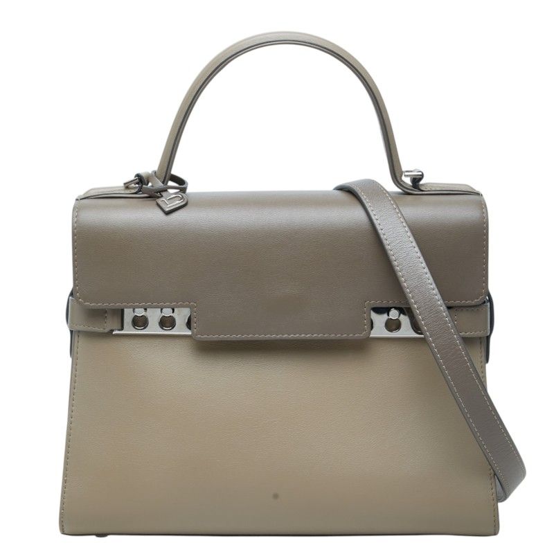 Delvaux Tempete MM Leather 2way bag