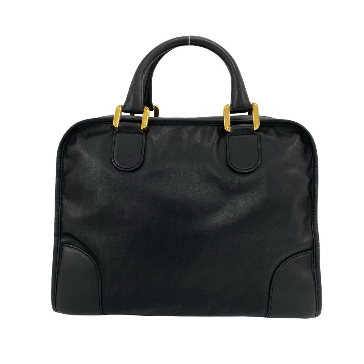 Loewe Amazona Leather Handbag