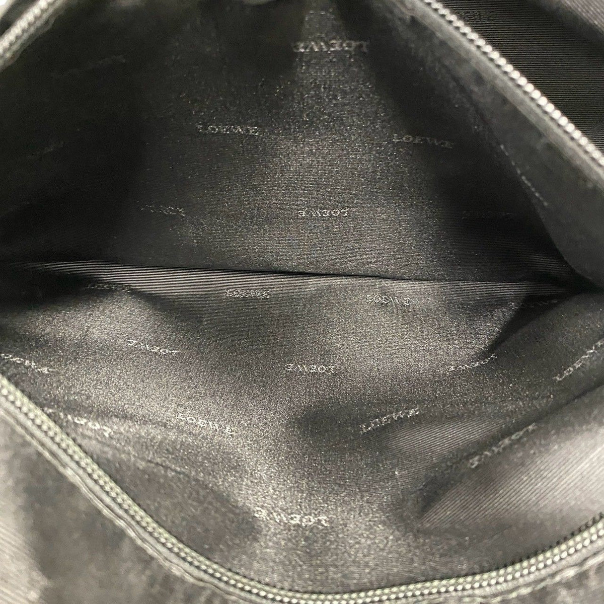 Loewe Amazona Leather Handbag