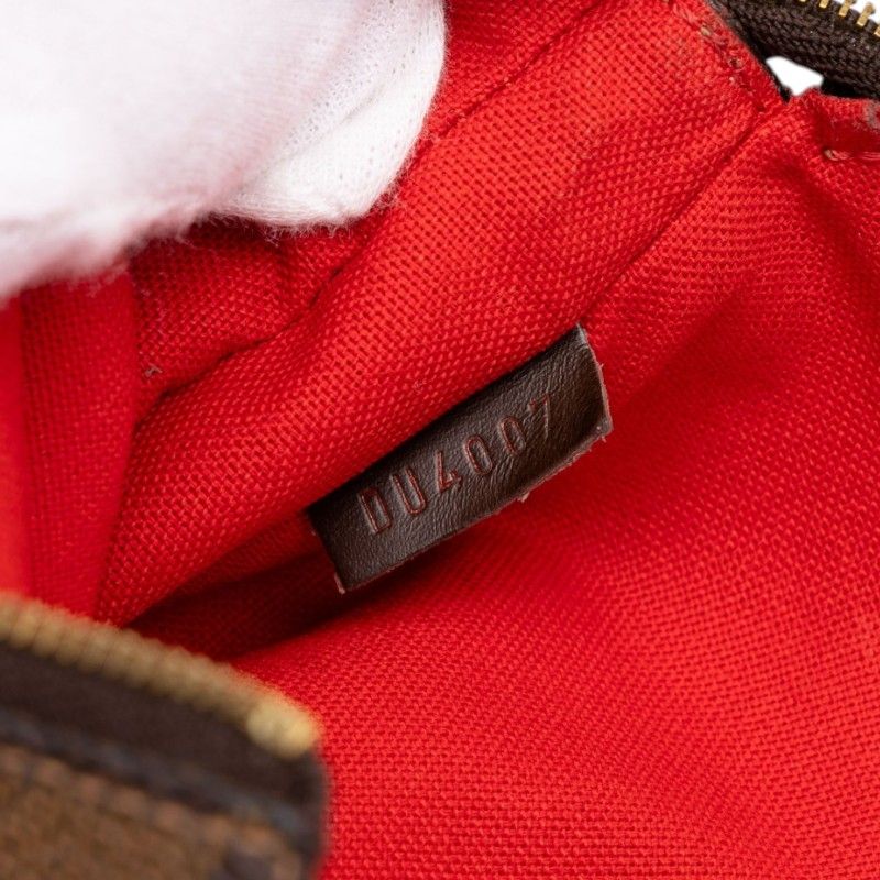 Louis Vuitton Eva Damier PVC 2way bag