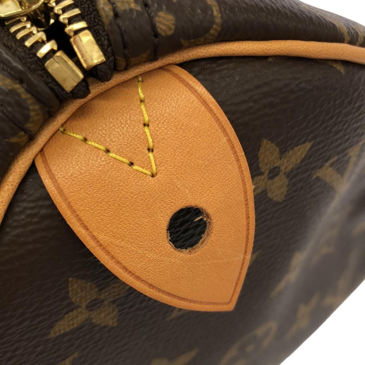 Louis Vuitton Speedy Monogram Boston Bag