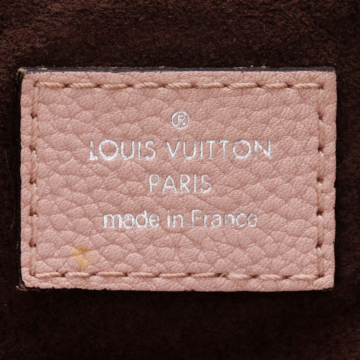 Louis Vuitton Omeya Leather Handbag