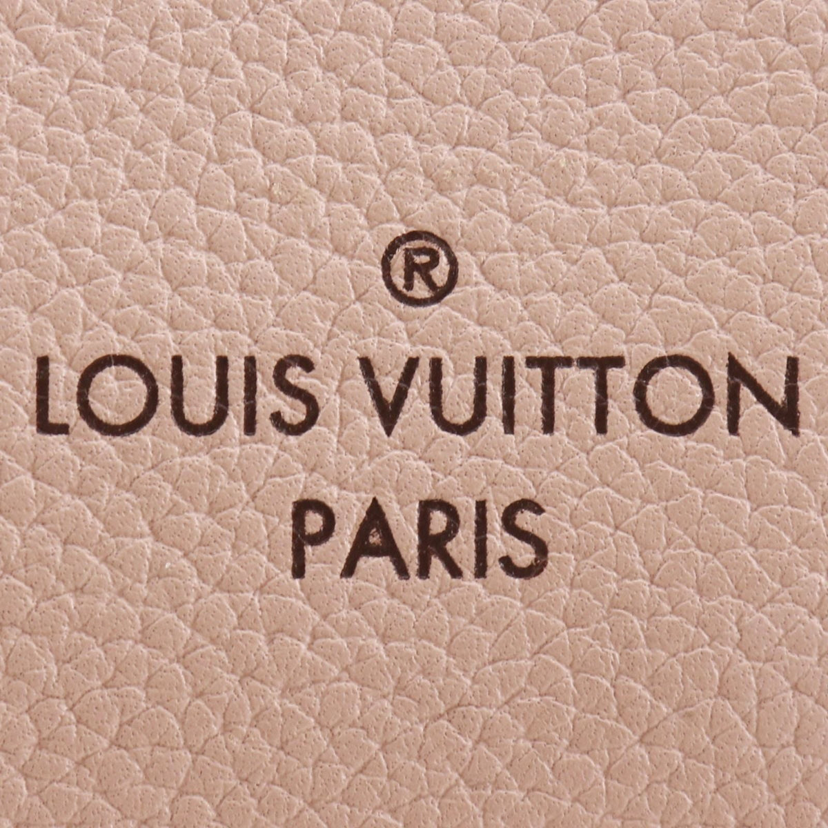 Louis Vuitton Omeya Leather Handbag