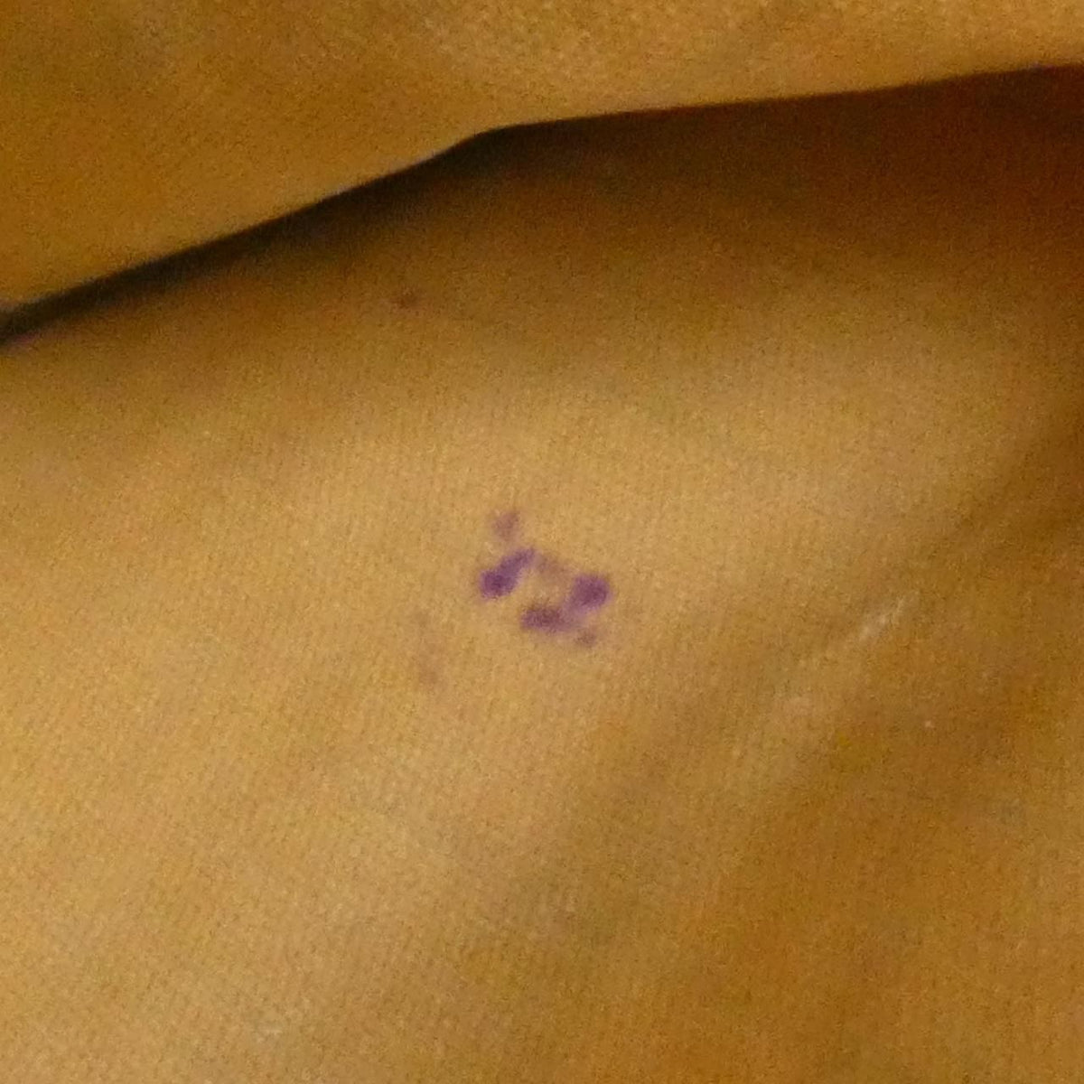 Louis Vuitton Neverfull Monogram Tote Bag