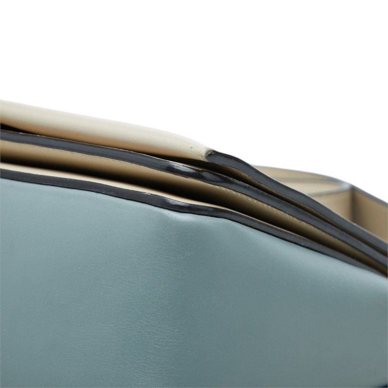 CELINE Frame Medium Leather Shoulder Bag