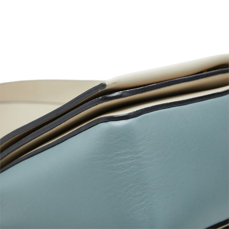 CELINE Frame Medium Leather Shoulder Bag