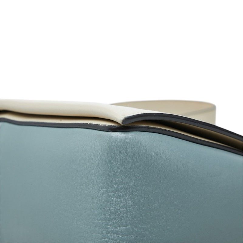 CELINE Frame Medium Leather Shoulder Bag