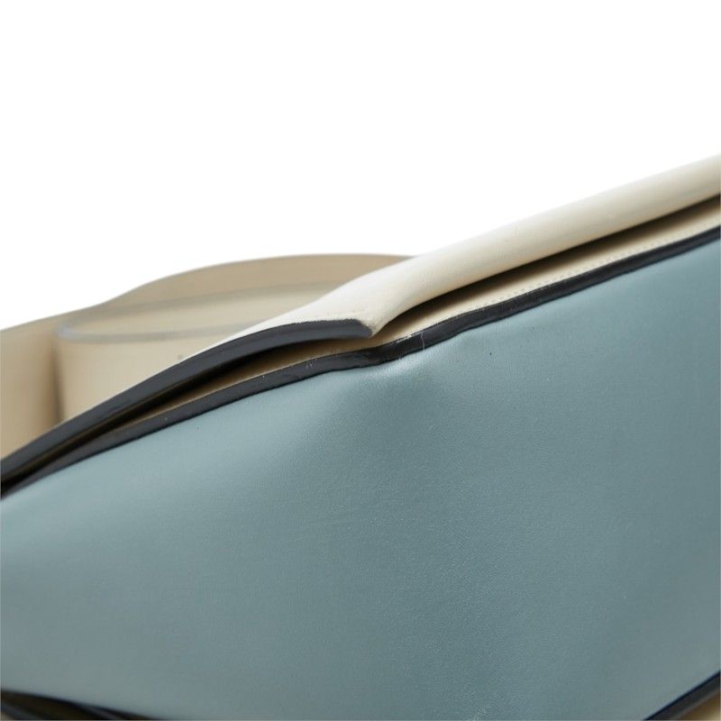CELINE Frame Medium Leather Shoulder Bag